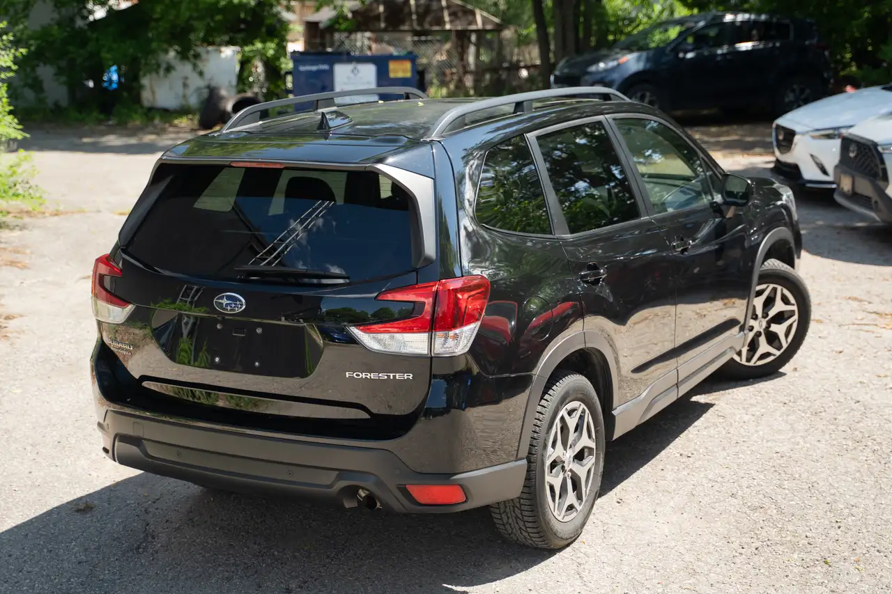 Subaru Forester fotografie Subaru Forester