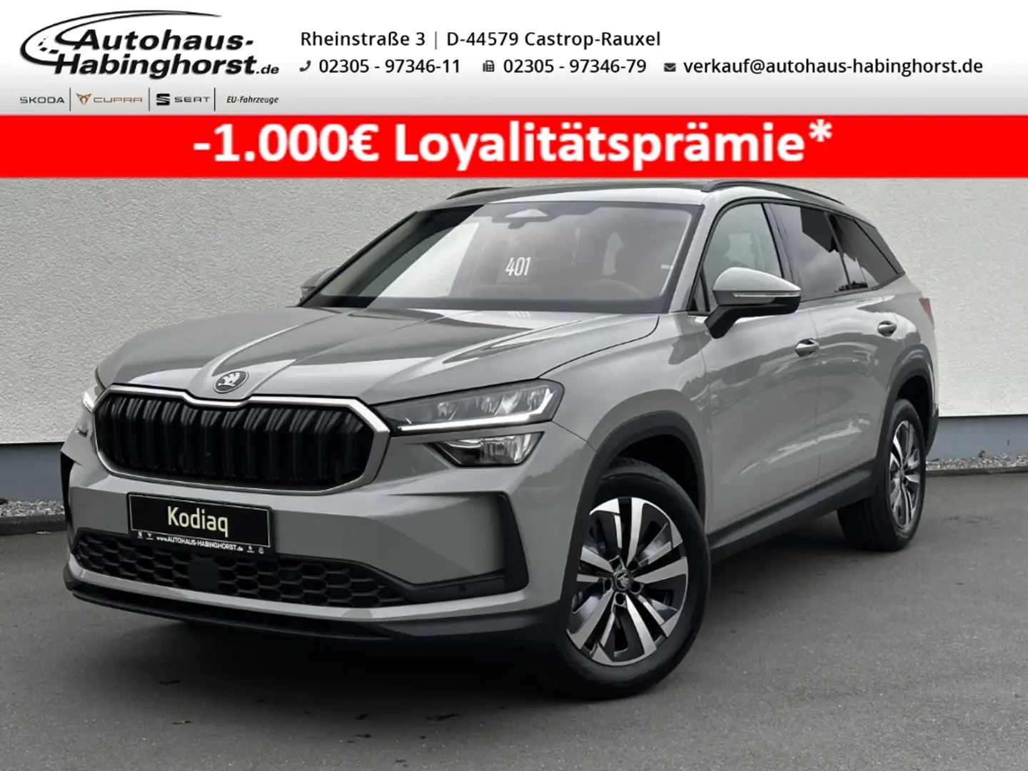 Skoda Kodiaq II 1.5 TSI m-HEV DSG Selection 7-Sitzer Pano AHK A Grau - 1