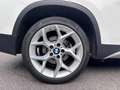 BMW X1 xDrive18d X Line Bianco - thumbnail 8