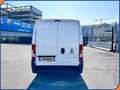 Fiat Ducato 35 2.3 MJT 140CV LH2 Furgone Bianco - thumbnail 5