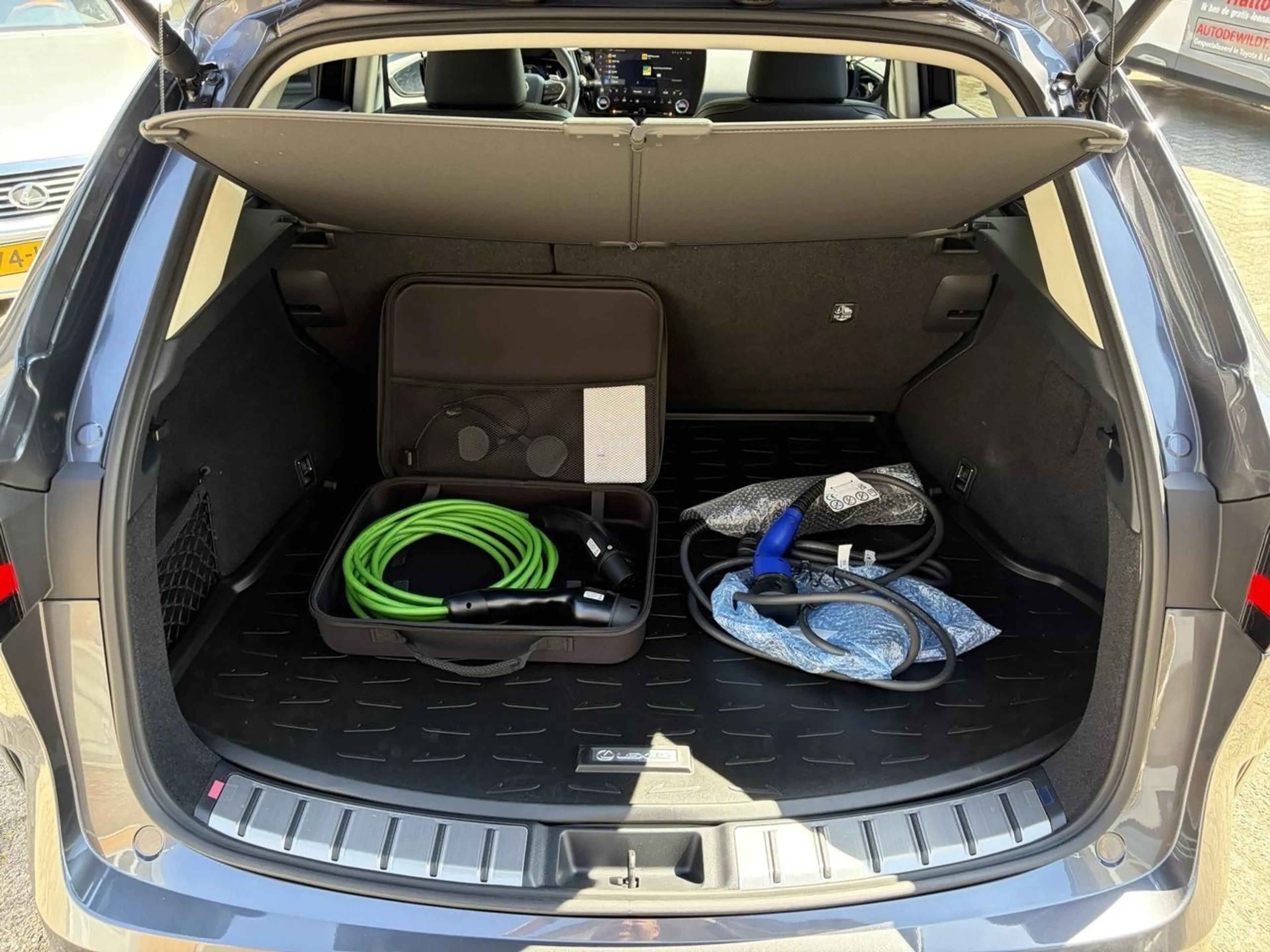 Lexus NX 450h+ AWD EXECUTIVE LINE A/T — photo 10