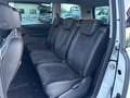 SEAT Alhambra FR 2,0 TDI DSG 4WD Weiß - thumbnail 14