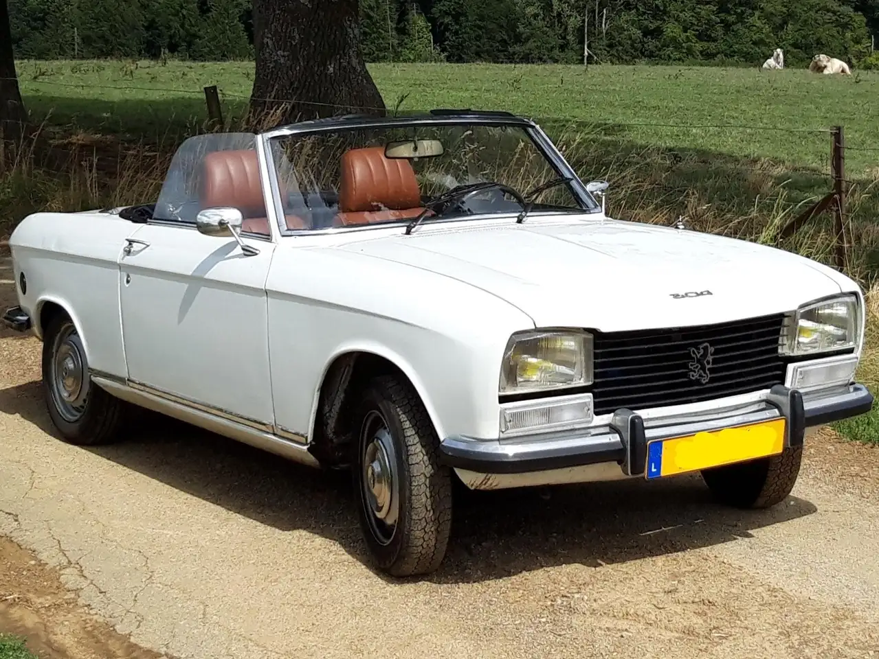 Peugeot 304 S Cabriolet, foto 3