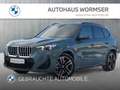 BMW X1 xDrive23i M Sportpaket Head-Up HK HiFi DAB Grün - thumbnail 1