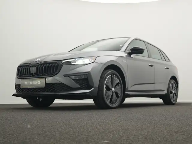 Skoda Scala view 10