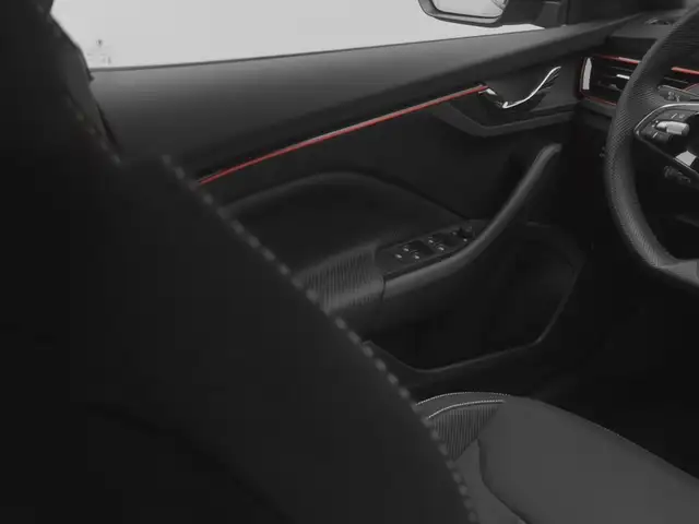 Skoda Scala view 22