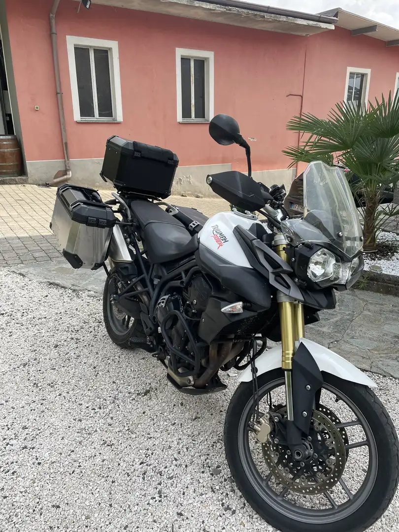 Triumph Tiger 800 Biały - 1