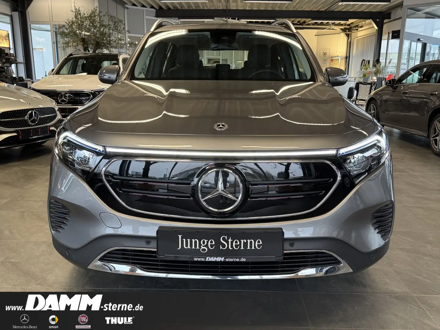 Mercedes-Benz EQB 250 EQB 250 Progr./60 M Garantie + Flex-Bonus/MEMORY Šedá - 2
