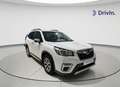 Subaru Forester 2.0i Hybrid Executive CVT Blanco - thumbnail 2
