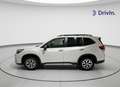 Subaru Forester 2.0i Hybrid Executive CVT Blanco - thumbnail 3