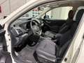 Subaru Forester 2.0i Hybrid Executive CVT Blanco - thumbnail 10