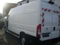 Peugeot Boxer Kasten Grossraum 435 L4H3 Pro BlueHDi 165 Bianco - thumbnail 15