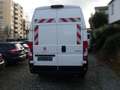 Peugeot Boxer Kasten Grossraum 435 L4H3 Pro BlueHDi 165 Bianco - thumbnail 4