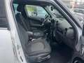 MINI Cooper D Countryman Mini 2.0 Cooper D Business Countryman Automatica Wit - thumbnail 12