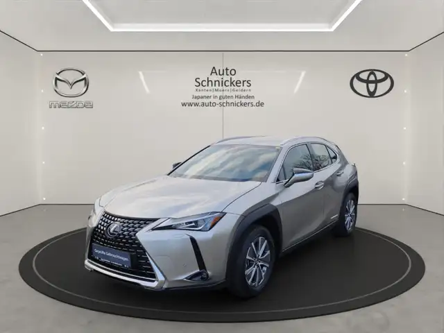 Lexus UX 300e +KAMERA+ACC+GJ-RÄDER !!
