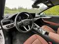Audi A5 Quattro S Line Automatica 2023 Bianco - thumbnail 12