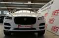 Jaguar F-Pace Prestige AWD*NAV*LEDER*LED*PANO* Weiß - thumbnail 8