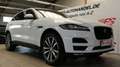 Jaguar F-Pace Prestige AWD*NAV*LEDER*LED*PANO* Weiß - thumbnail 7