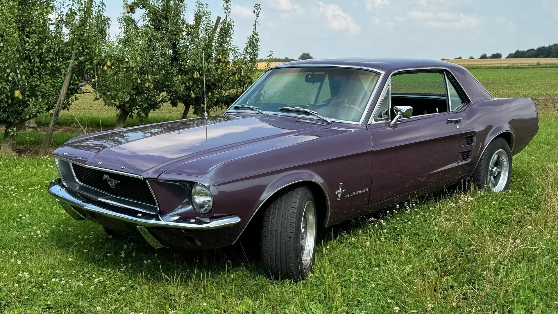 Ford Mustang V8 200ch Automatique Burdeos - 2