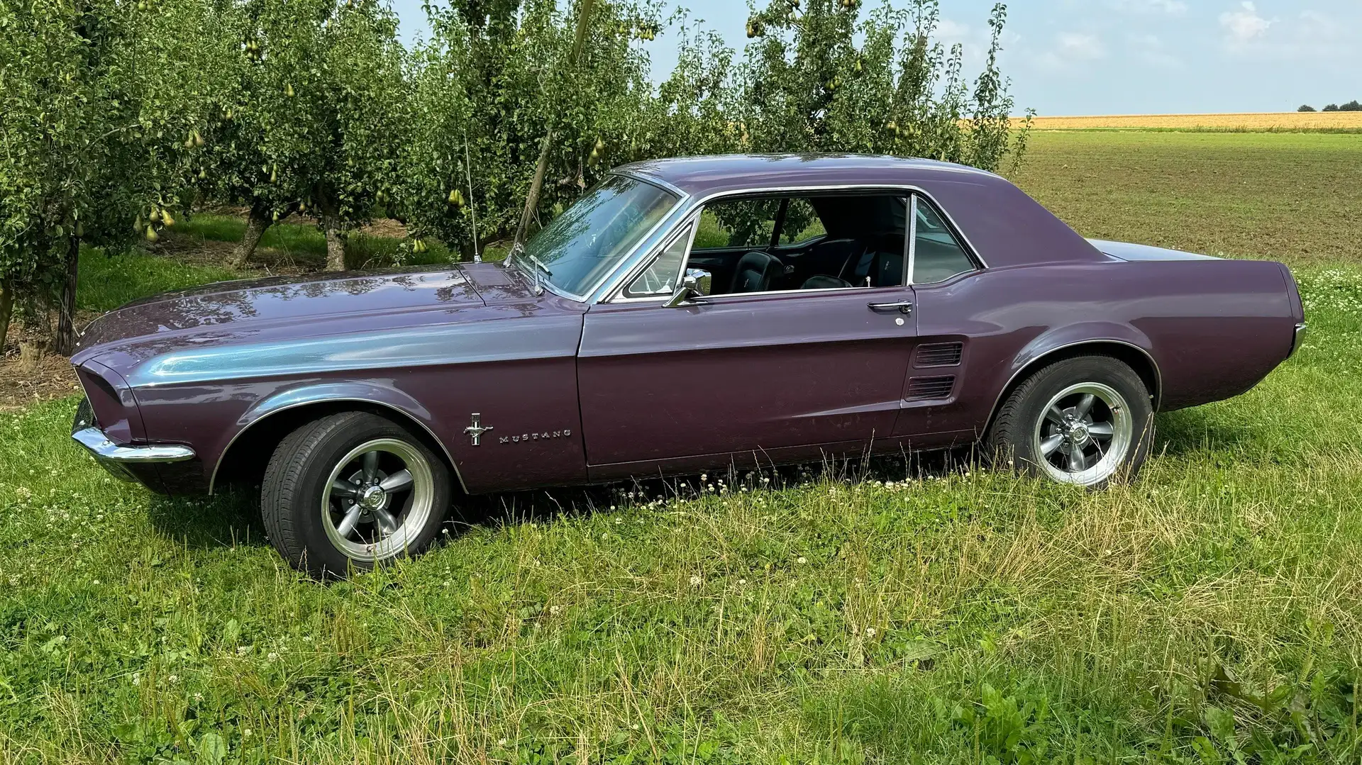 Ford Mustang V8 200ch Automatique Burdeos - 1