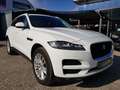 Jaguar F-Pace Pure AWD 20d // AHV / LED / PANO / Kamera// Weiß - thumbnail 9