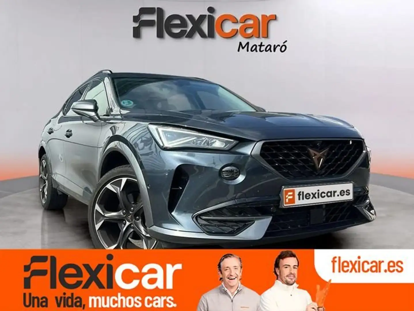 CUPRA Formentor 1.5 TSI 150 DSG Gris - 1