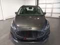 Ford Galaxy 2.0 EcoBlue Trend  Navi|ParkPilot|AHK|DAB Grau - thumbnail 2