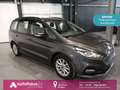 Ford Galaxy 2.0 EcoBlue Trend  Navi|ParkPilot|AHK|DAB Grau - thumbnail 1