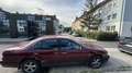 Nissan Maxima QX Rot - thumbnail 7