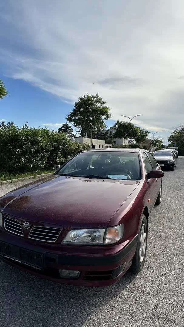 Nissan Maxima QX Rot - 2