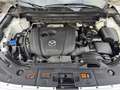 Mazda CX-5 Allrad G194 AWD Takumi Plus/SD Aut. Weiß - thumbnail 20