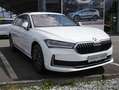 Skoda Superb Selection 2,0TDI DSG *AHK SZH LED KAM360* Weiß - thumbnail 6