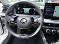 Skoda Superb Selection 2,0l TDI DSG *AHK SZH LED KAM* Weiß - thumbnail 14