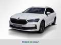 Skoda Superb Selection 2,0l TDI DSG *AHK SZH LED KAM* Weiß - thumbnail 1