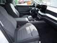 Skoda Superb Selection 2,0l TDI DSG *AHK SZH LED KAM* Weiß - thumbnail 10
