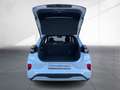 Ford Puma PUMA ST-LINE 1.0 EcoBoost DSG LED NAVI KAMERA Blanc - thumbnail 10