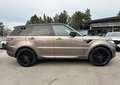 Land Rover Range Rover Sport 3.0 sdV6 HSE 306cv auto /TETTO/KM DOC. /FULL Maro - thumbnail 4
