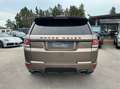 Land Rover Range Rover Sport 3.0 sdV6 HSE 306cv auto /TETTO/KM DOC. /FULL Maro - thumbnail 5
