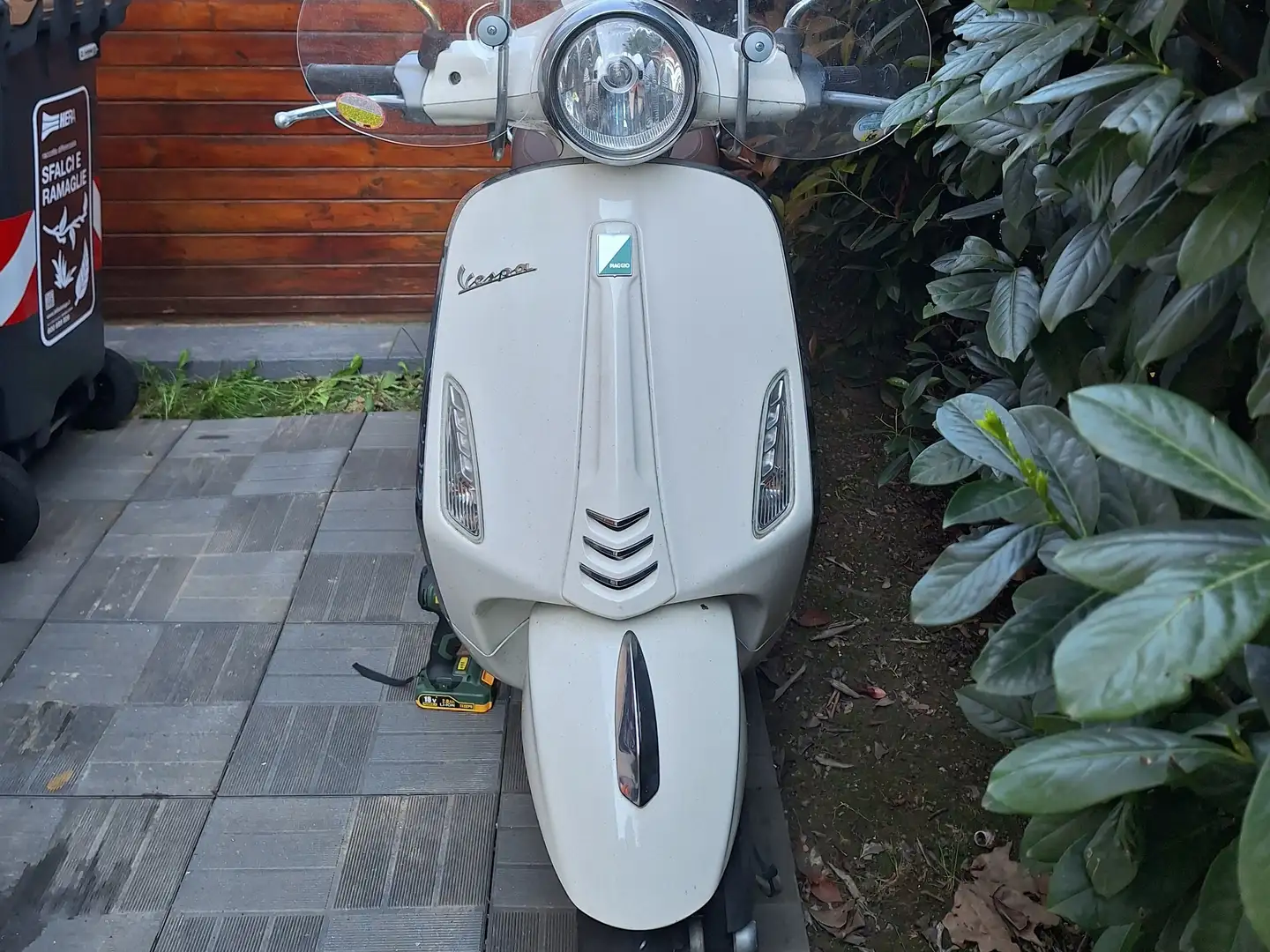 Piaggio Primavera 2017 - 125 Alb - 1