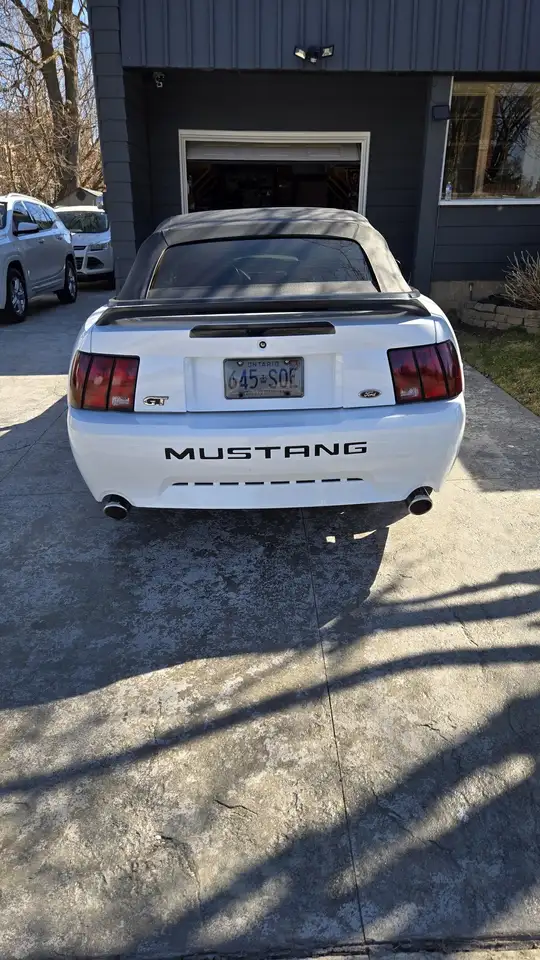 Ford Mustang снимка Ford Mustang