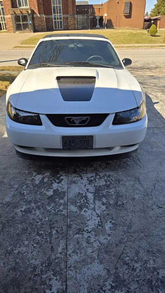 Ford Mustang снимка Ford Mustang