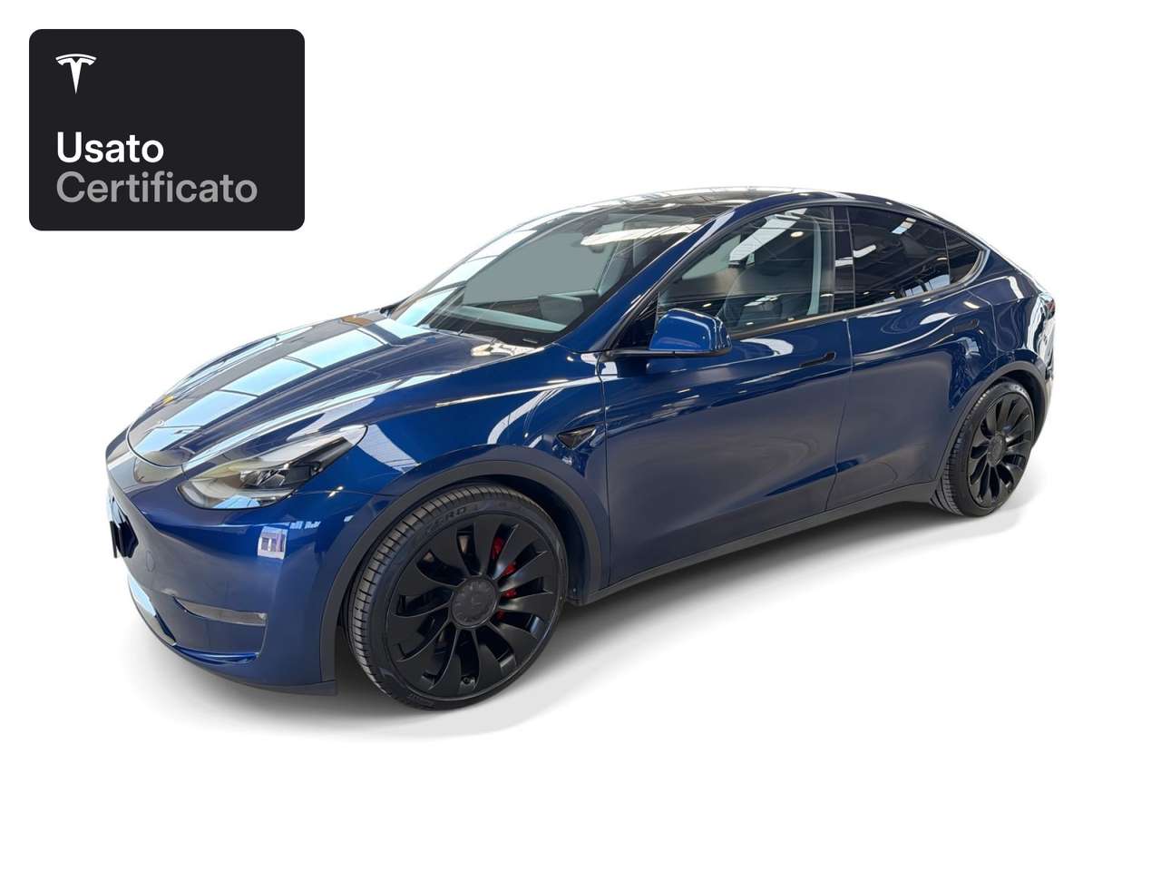 Tesla Model Y Performance