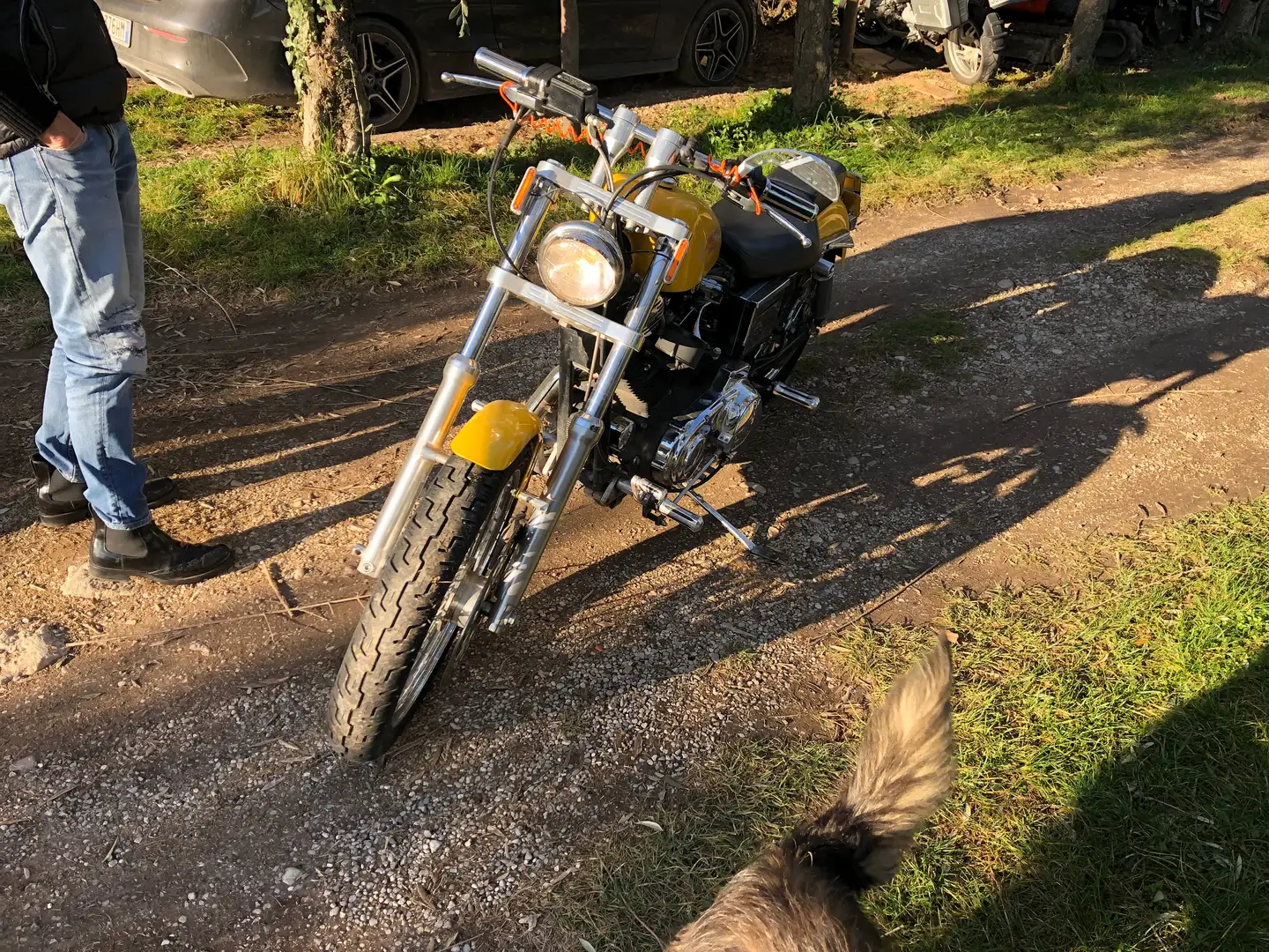 Harley-Davidson Sportster XL 883 Giallo - 2