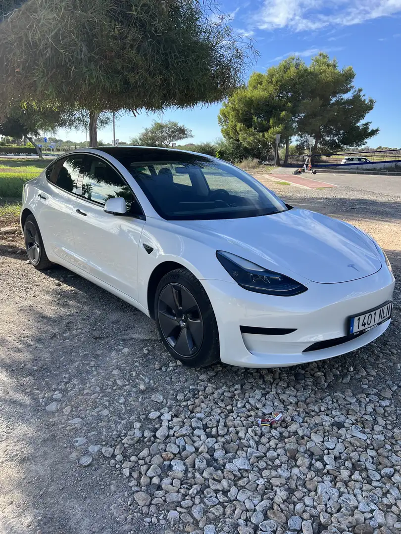 Tesla Model 3 Standard Reichweite Plus Hinterradantrieb - 2