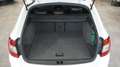 Skoda Octavia Combi RS*AHK*DAB*NAVI*RS-SITZE* Blanc - thumbnail 22