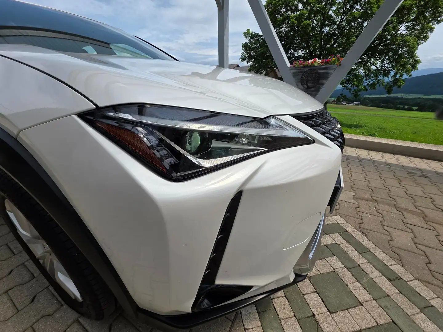 Lexus UX 250h UX 250h 1,4kWh Eco Aut. Eco Weiß - 2