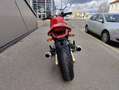 Ducati Monster 900 Rouge - thumbnail 5