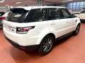 Land Rover Range Rover Sport 3.0 TDV6 HSE Bianco - thumbnail 3
