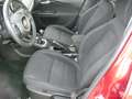 Fiat Tipo 5 porte 1.6 mjt 120cv Lounge, OTTIME CONDIZIONI!! Rouge - thumbnail 8