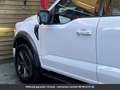 Ford Texas Edition 360° SuperCrew 4x4 Tout compris hors Blanc - thumbnail 9